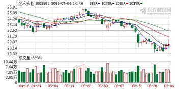 金禾实业 食品甜味剂行业龙头，回购股份彰显公司坚定信心